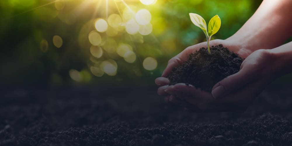 Community Forward Fund