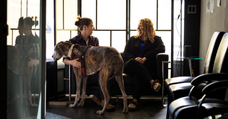 Attachment and Trauma Therapy Centre (ATTCH) Niagara